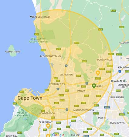 Cape Town bee removal suburbs