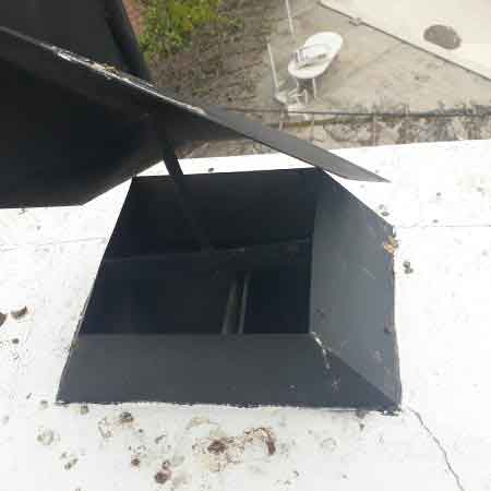 Bee colony removal from chimney, Cape Town