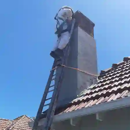 Bee colony moved into chimney in Rondebosch, Cape Town