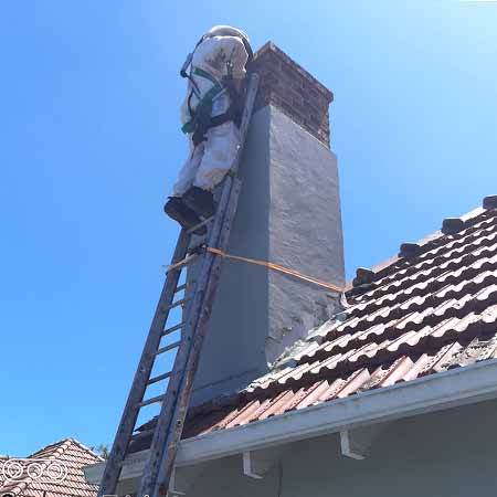 Bee colony moved into chimney in Rondebosch, Cape Town