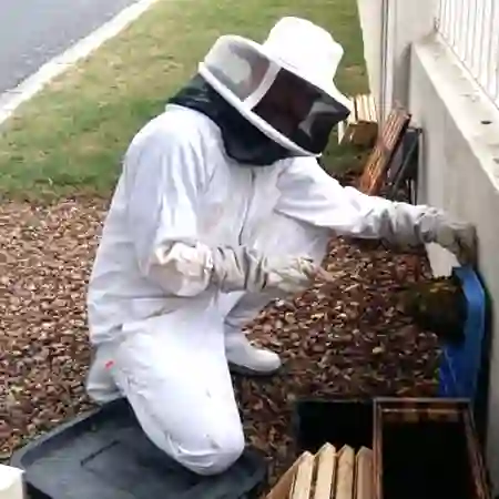 Bee removal water meter, Table View, Cape Town